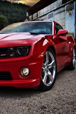 Revved Up Red: The Amaz..