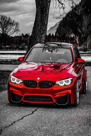 The Bold Beauty: BMW in..