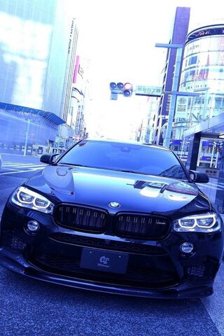 The Bold BMW X6: A Fusi..