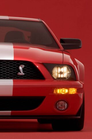 Unleashing the Legend: Ford Shelby Cobra GT 🐍🚗