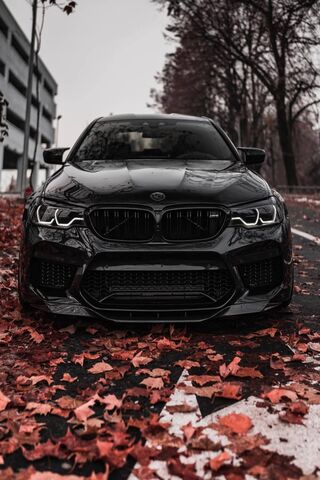 The Dark Elegance of the BMW M5 Zedsly