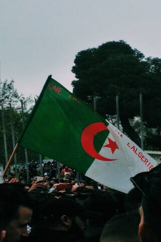123 Viva L Algerie Fond D Ecran Telecharger Sur Votre Mobile Depuis Phoneky