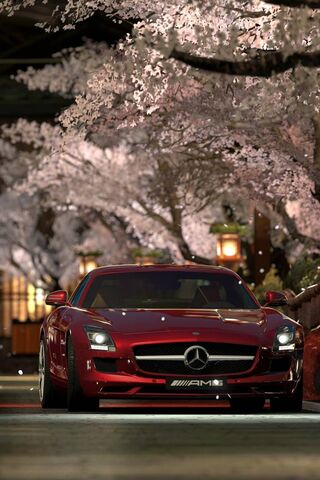 Elegance on Wheels: The..