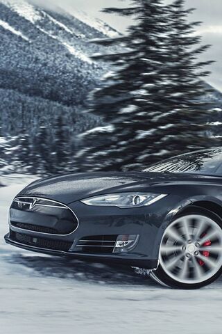 Tesla Snow