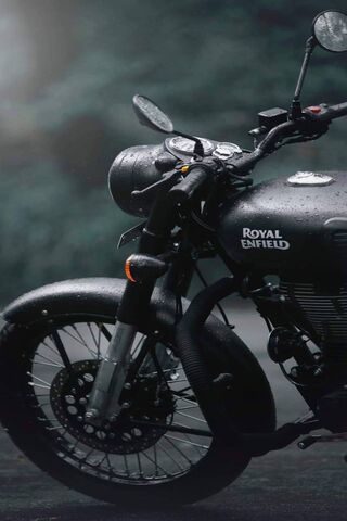 Bullet: The Icon of Fre..