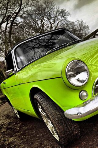 Vibrant Green Dream: A ..