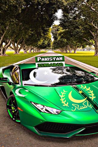 Carro de bandeira do Paquistão