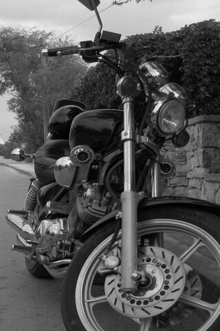 Rev Up Your Adventure! 🏍️✨