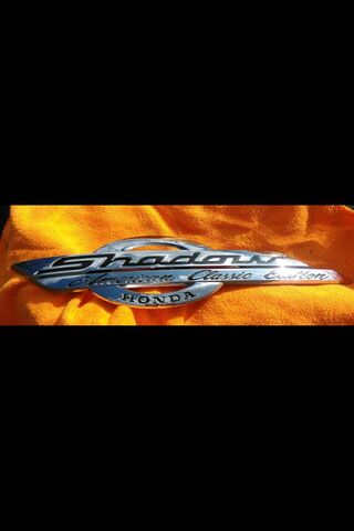 Shining Legacy: The Ace 1100 Badge