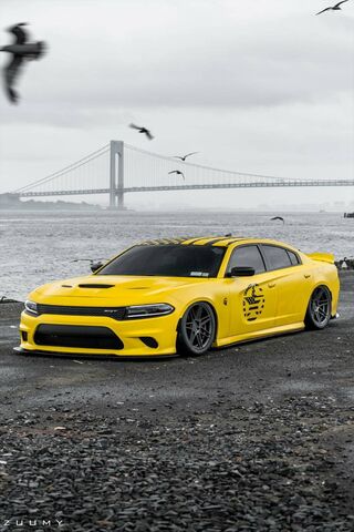 Bold and Brave: The Patriotic Charger