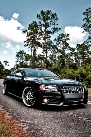 The Sleek Power of the ..