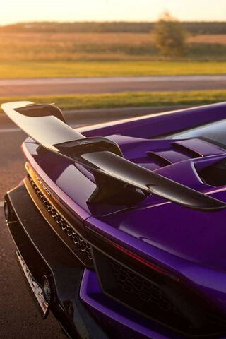 Aero Elegance: The Art of Speed