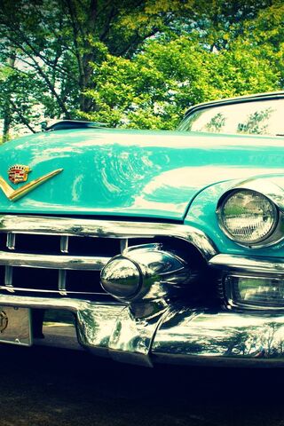 Classic Elegance: The C..