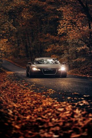 An Audi Autumn