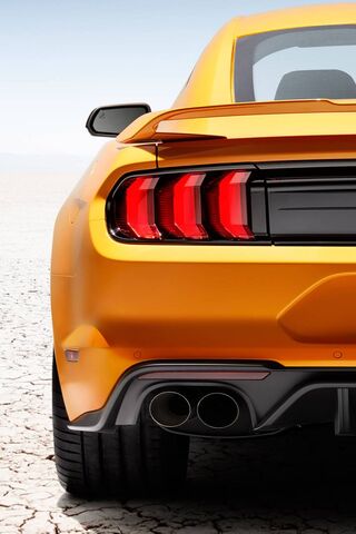 Roaring into the Future..