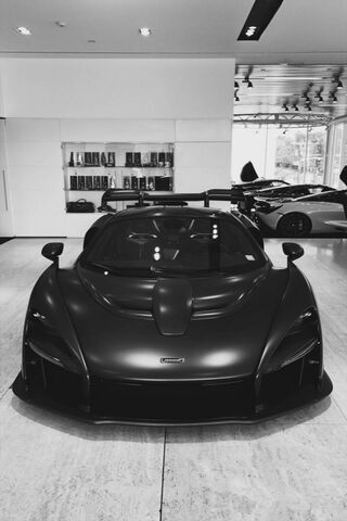 Stealth Senna