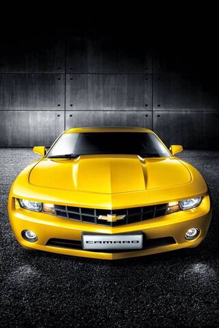 The Bold Beauty: Camaro..