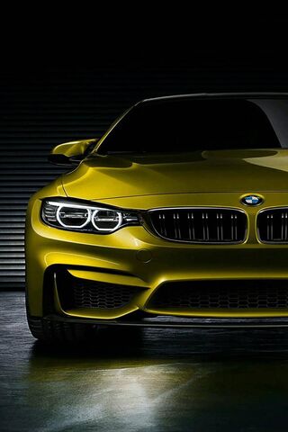 The Bold Beauty: BMW in..