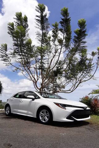 Stylish Adventures Await: The Corolla Hatchback 🚗🌳