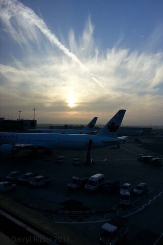 Sunset Serenity at Air Canada Frankfurt 🌅✈️