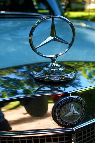 Elegance on Wheels: The..