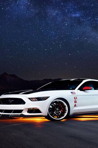 Ford Shelby: A Star Under the Night Sky 🌌🚗