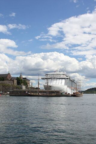 Sailing into Serenity: The Majestic Cruise Ship