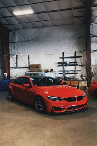 Sleek Stance: The Bold ..