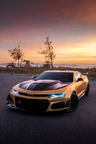 Sunset Speedster: The G..