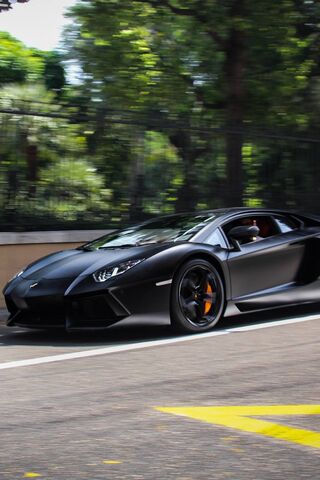 Lambo 7