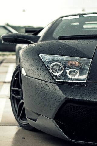 Murcielago