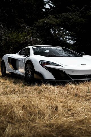 Untamed Elegance: The Wild McLaren
