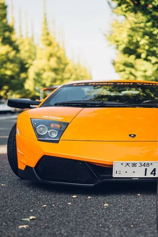 The Bold Beauty: Orange Murcielago 🚗✨