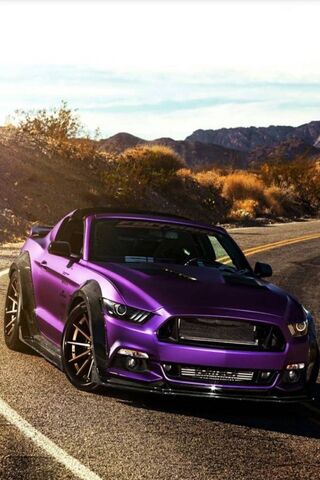 Violet Thunder: The Bold Purple Mustang