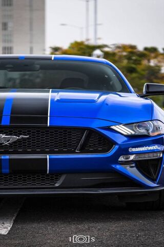 Mustang Mr11: The Blue Beast on the Streets! 🐎💙