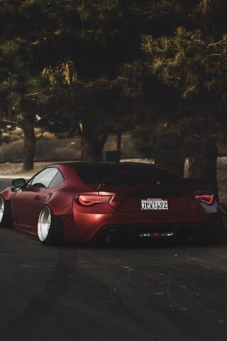 Sleek Stance: The JDM Dream