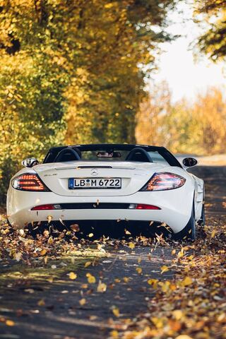 Autumn Elegance: The Mercedes SLR in Nature 🍂🚗