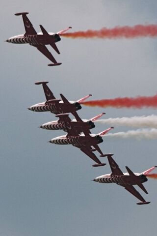 Soaring High: The Turkish Stars in Action! ✈️🇹🇷