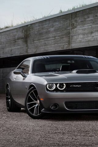 Unleashing Power: The D..