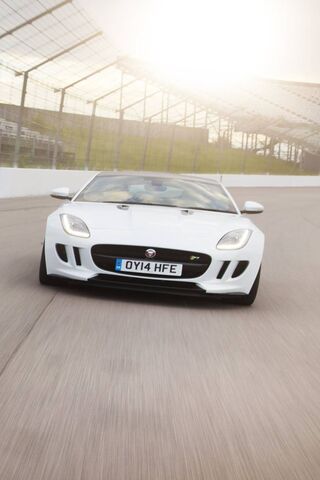 Unleashing the Jaguar F-Type: A Symphony of Speed and Style 🐆🚗