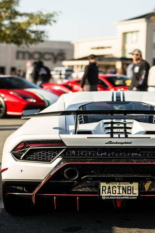 Revving Up the Spotlight 🚗✨