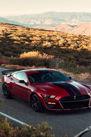 Download wallpaper 750x1334 green ford mustang shelby gt500 sportcar  2020 iphone 7 iphone 8 750x1334 hd background 25632