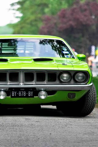 Vibrant Green Machine: ..