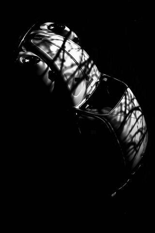Shadows of the Classic Beetle 🐞✨