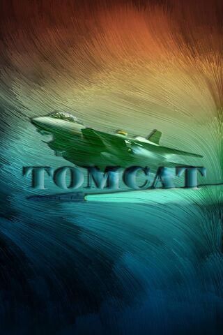 Soaring High: The Legendary Tomcat F-14 🛩️✨