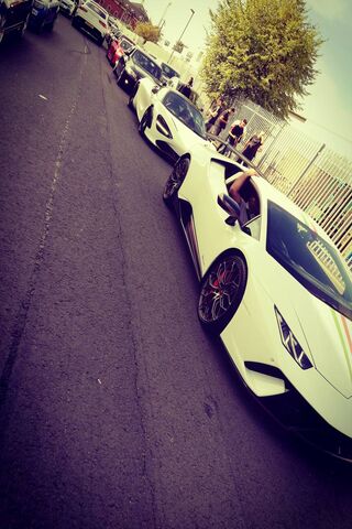 Luxury on Wheels: The Supercar Parade 🚗✨