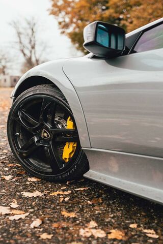 Autumn Elegance: The Murcielago's Golden Touch 🍂✨