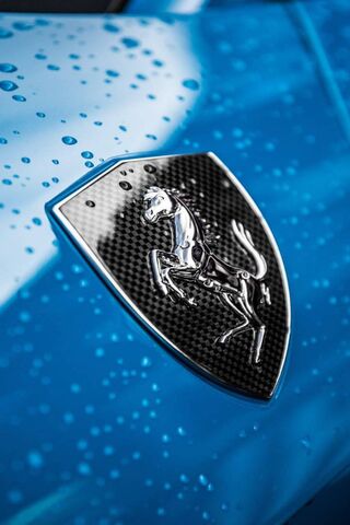 The Iconic Carbon Ferrari Crest: A Symbol of Speed and Luxury