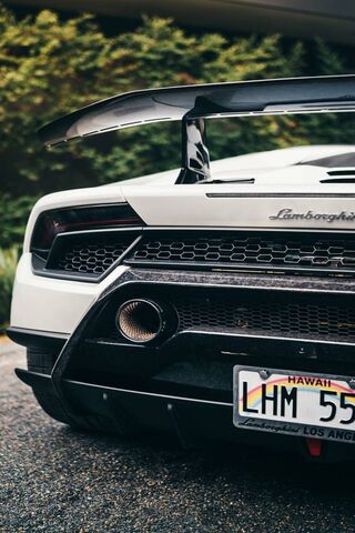 Lamborghini: The Essence of Pure Brilliance