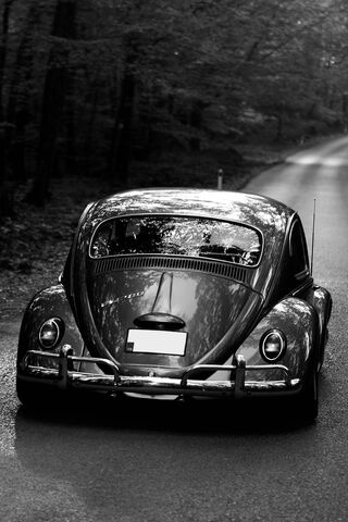 Timeless Elegance on Wheels 🚗✨